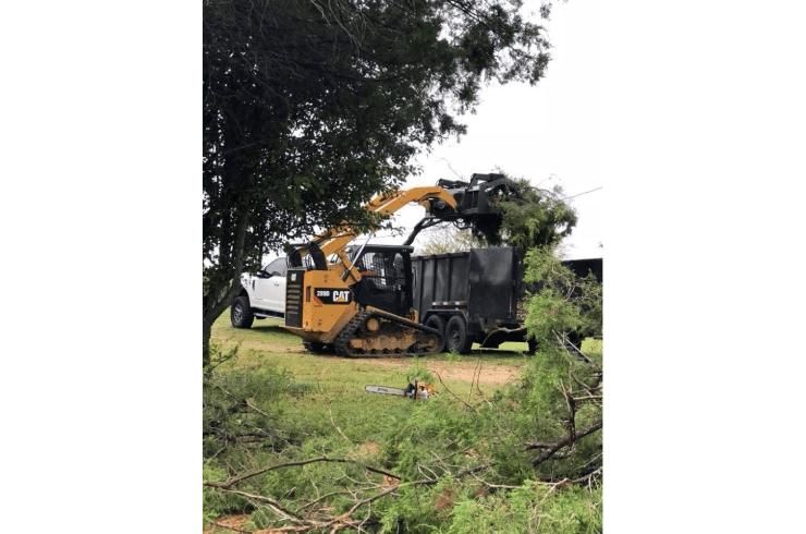 J&C Tree Service